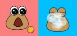 pou logo_300x200